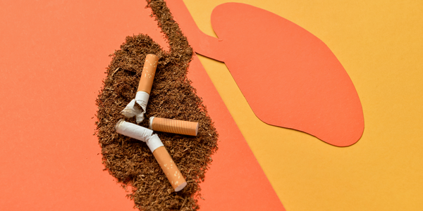 Nevada State Programs for Tobacco Retailers Nevada State Programs for Tobacco Retailers